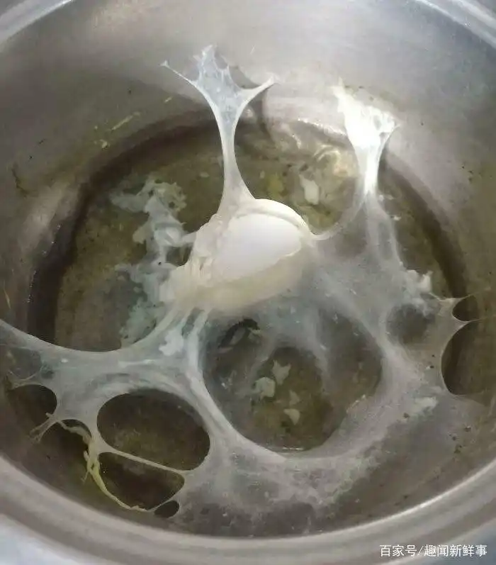 煮鸡蛋爆炸_明星黑暗料理图片大全高清,_烤箱食物失败案例